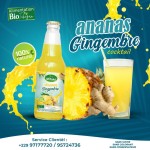 Cocktail Mifakô ( Ananas gingembre) Pack de 12