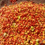 Tomate fraîche naturelle