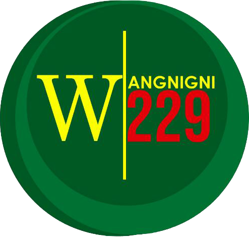 Wangnigni 229, distributeur de produit localement fait au Bénin