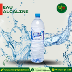 Eau Alcaline LBE 1,5L (Carton de 9 bouteilles)