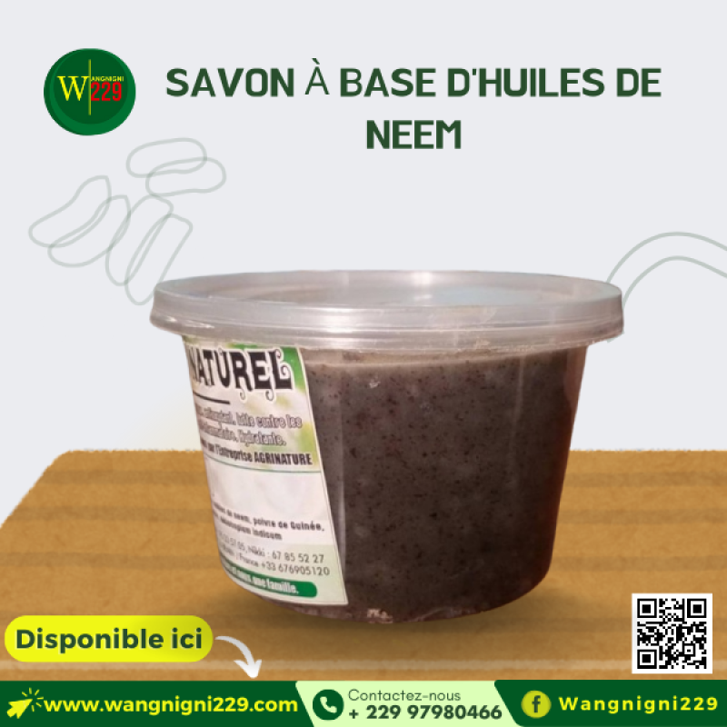 Savon Antiseptique aux Huiles de Neem et Plantes Médicinales