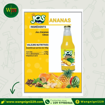 Pack de jus d'Ananas (Pack de 24 bouteilles )